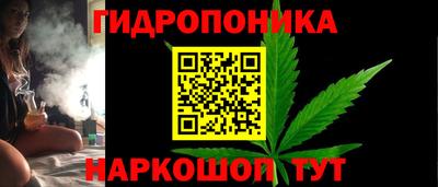 крисы Дмитров