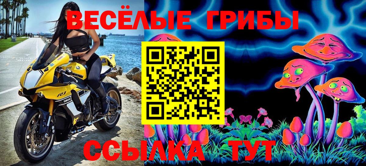 Галлюциногенные грибы GOLDEN TEACHER Лыткарино
